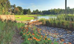 2022 Nationals Best Community Landscape winner Artavia plantings 2022 Nationals Best Community Landscape winner Artavia plantings