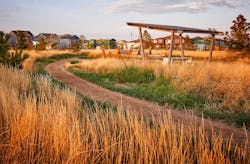 2022 Nationals winner Best Community Landscape Painted Prairie grasses 2022 Nationals winner Best Community Landscape Painted Prairie grasses