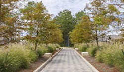 2022 Nationals Best Community Landscape winner, Artavia blue tree 2022 Nationals Best Community Landscape winner, Artavia blue tree