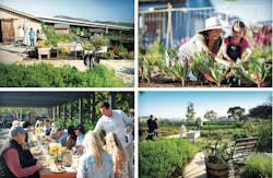 The lifestyle at Esencia Farm agrihood in Rancho Mission Viejo, California The lifestyle at Esencia Farm agrihood in Rancho Mission Viejo, California