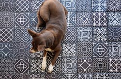 FLM Ceramics Sound Wave tile used on residential floor FLM Ceramics Sound Wave tile used on residential floor