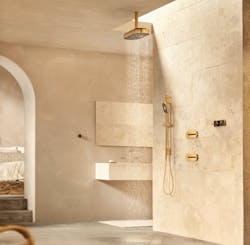 Kohler Statement Oval Rainhead for personalized showering Kohler Statement Oval Rainhead for personalized showering