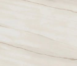 Caesarstone's Super Natural Collection Is One Of The Building Products Used In The New American Home 2024 Caesarstone's Super Natural Collection Is One Of The Building Products Used In The New American Home 2024