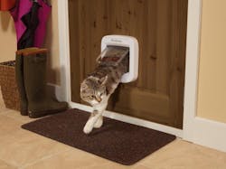 pet safe pet door pet safe pet door