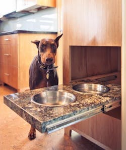 05 A%20 Tim Barber Pull Out Dog Bowl With Dog Looking Up By Charles Ryan Barber 05 A%20 Tim Barber Pull Out Dog Bowl With Dog Looking Up By Charles Ryan Barber
