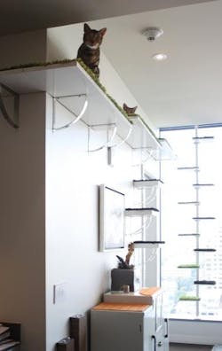 10%20 Designer Kate Benjamin Climbing And Cat Walkway 10%20 Designer Kate Benjamin Climbing And Cat Walkway