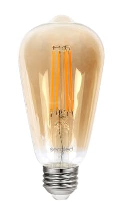 Edison Filament Bulb Edison Filament Bulb