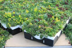 Liveroof Green Roof Modules Liveroof Green Roof Modules