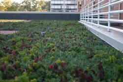 Liveroof Trezevant Manor Green Roof Liveroof Trezevant Manor Green Roof
