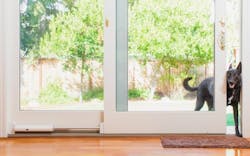 Wayzn smart doggy door ces Wayzn smart doggy door ces