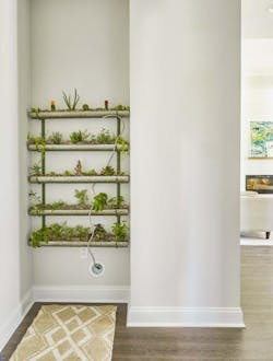 indoor home garden indoor home garden