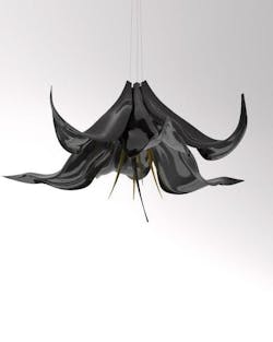 jeremy cole oriental lily jeremy cole oriental lily