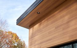 5” Vesta Plank in Gilded Grain 5” Vesta Plank in Gilded Grain