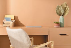 Valspar 2023 Color of the Year Desert Carnation Valspar 2023 Color of the Year Desert Carnation