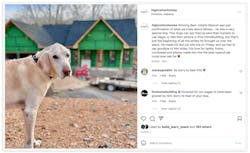 Instagram post screenshot dog at jobsite Instagram post screenshot dog at jobsite