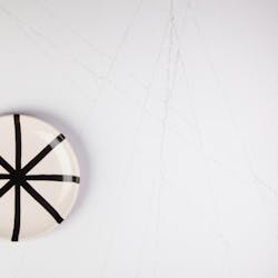 Lapitec Bianco Assoluto Sintered Stone With Through Vein Venato still life Lapitec Bianco Assoluto Sintered Stone With Through Vein Venato still life