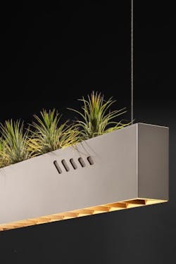 OLEV Pure BioAir Light Fixture Up Close OLEV Pure BioAir Light Fixture Up Close