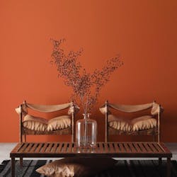 JH Wall Paint #249 JH Wall Paint #249