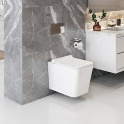 Floating toilet icera baxter Floating toilet icera baxter