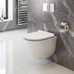 Wall mounted lily toilet icera Wall mounted lily toilet icera