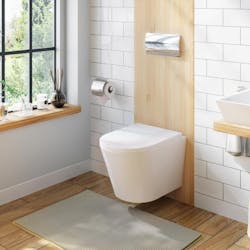 Wall hanging toilet Icera vista Wall hanging toilet Icera vista