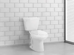 liberty affordable toilet liberty affordable toilet