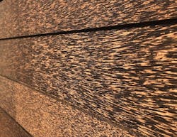 Palm Shell 2 Palm Shell 2