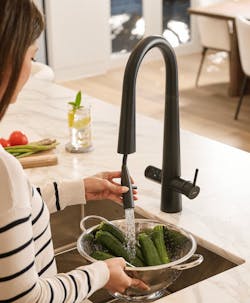 ZipWater HydroTap Celsius Plus All-in-One with Pull down sprayer kitchen faucet ZipWater HydroTap Celsius Plus All-in-One with Pull down sprayer kitchen faucet
