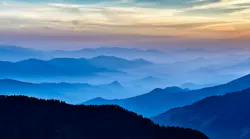Photo: Unsplash