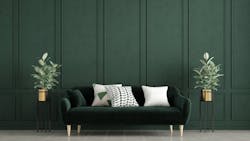 A dark green couch set against green accent wall and accompanies by plants on either side A dark green couch set against green accent wall and accompanies by plants on either side
