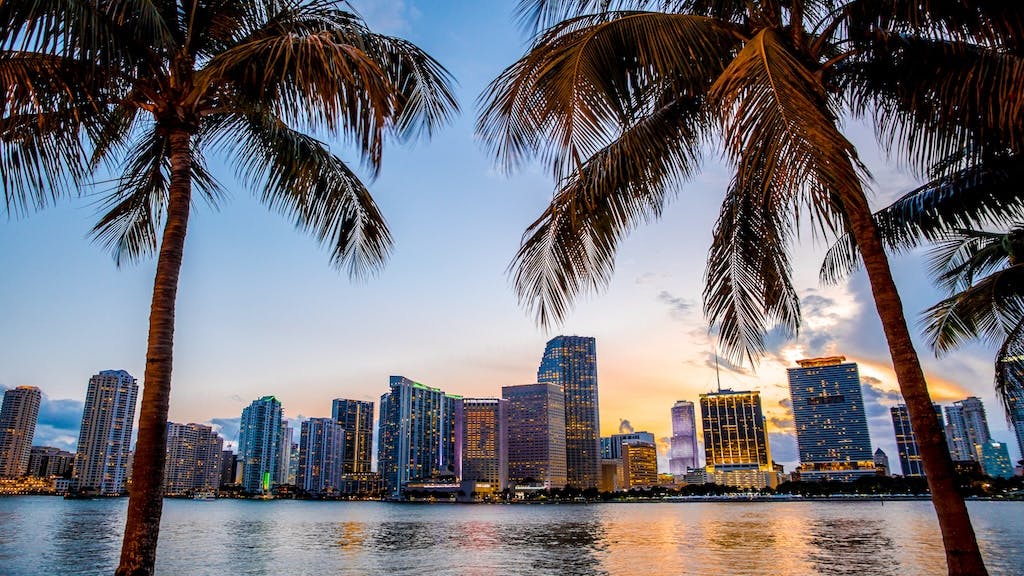 The Miami skyline at sunset is framed between two palm trees