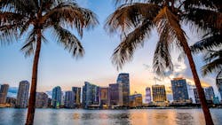 The Miami skyline at sunset is framed between two palm trees The Miami skyline at sunset is framed between two palm trees