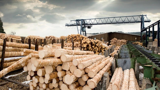 Lumber yard