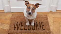 Dog sitting on a welcome mat