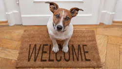 Dog sitting on a welcome mat