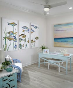 web_conch_cottages_b web_conch_cottages_b