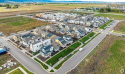 69868b3f2d180ae0426598b4 Blackwood Grovesdrone 69868b3f2d180ae0426598b4 Blackwood Grovesdrone