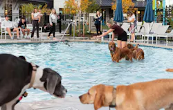 Anytime you can get pets involved, like this pool party for pooches, it's sure to be a crowd pleaser. Anytime you can get pets involved, like this pool party for pooches, it's sure to be a crowd pleaser.