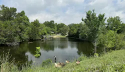 A pond alive with turtles and drifting geese anchors the landscape, while an intangible calm lingers in the air, giving the property a quietly restorative presence. A pond alive with turtles and drifting geese anchors the landscape, while an intangible calm lingers in the air, giving the property a quietly restorative presence.