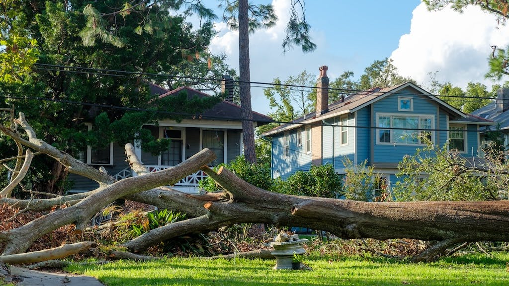 Damage to a neighborhood after a hurricane