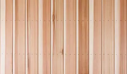6a05023ff335a175cb0b3b6f Pbproductsnakamotoforestry 6a05023ff335a175cb0b3b6f Pbproductsnakamotoforestry