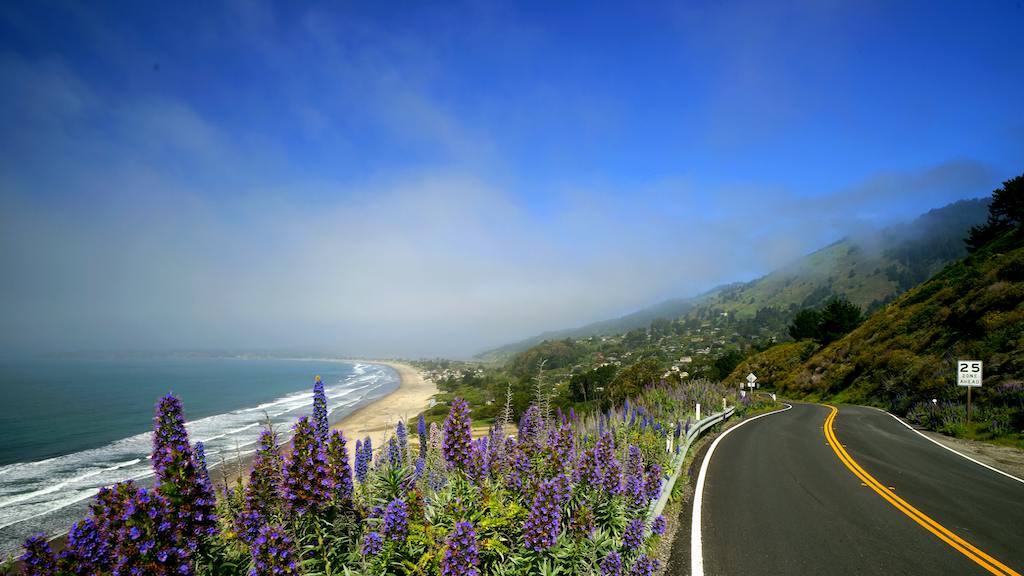 Northern California road