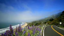 Northern California road