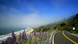 Northern California road